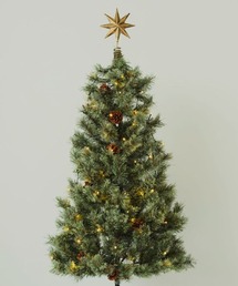 studio CLIP(X^fBINbv)LEDCg`F[[CHRISTMAS 2025](CeAG)