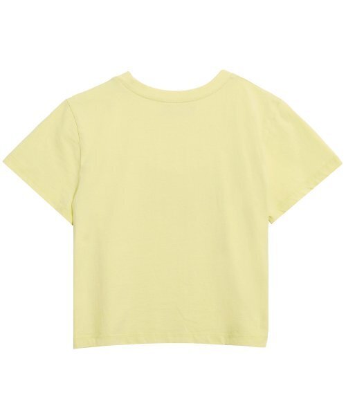 HIGH SCHOOL DISCO（ハイスクールディスコ）の「ウェーブアロハクロップTシャツ_メロン（Tシャツ/カットソー・レディース・その他・FREE）」の2枚目の写真