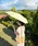 ORiental TRaffic�i�I���G���^���g���t�B�b�N�j�́u���S�Ռ� 100% �����^�b�` �����J�� ���P ���J���p UV�J�b�g100% �y�� 220g �܂肽���� �R���p�N�g ���n �ʋ�  / G-0601�i�܂肽���ݎP�j�v�b�C�G���[