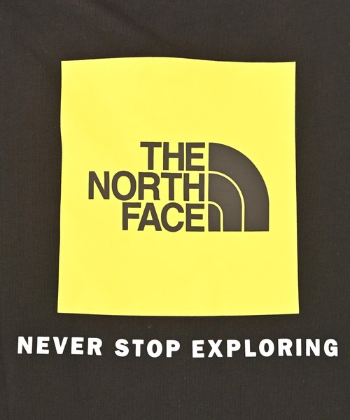 THE NORTH FACE（ザノースフェイス）の「THE NORTH FACE(ザ・ノース・フェイス) バックプリント スウェットパーカー（パーカー・レディース・ブラック/グレー・S/M/L）」の13枚目の写真