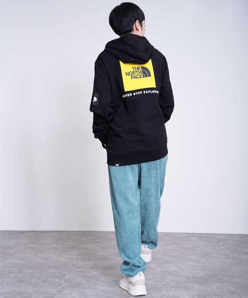 THE NORTH FACE（ザノースフェイス）の「THE NORTH FACE(ザ・ノース・フェイス) バックプリント スウェットパーカー（パーカー・レディース・ブラック/グレー・S/M/L）」の6枚目の写真