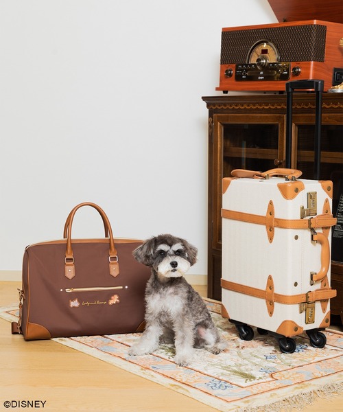 Disney(ディズニー)の「【WEB限定】ディズニー レディ&スキャンプ ナイロンボストンバッグ(ボストンバッグ・レディース・ブラウン・FREE)」の9枚目の写真