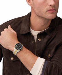 FOSSIL(tHbV)̃tHbV rv Y AiO XeX FS6031(AiOrv)