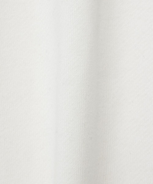 U.S. POLO ASSN.(ユーエスポロアッスン)の「Ada./U.S. POLO ASSN.ユーエスポロアッスン ラインデザインハーフジップスウェット(スウェット・レディース・オフホワイト/グレー/ブラック/ネイビー/レッド/ベージュ・M/L)」の14枚目の写真