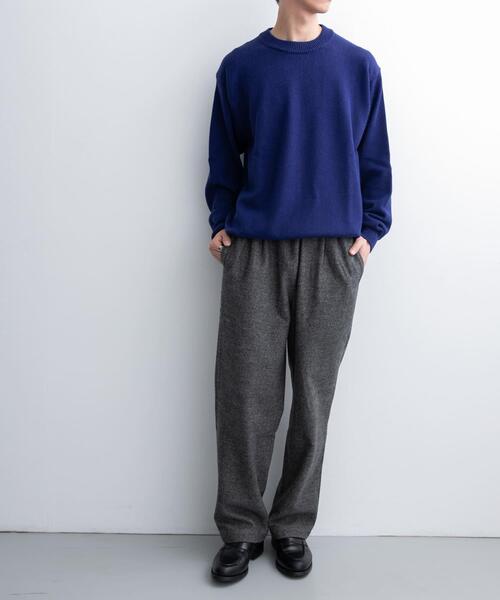 FORK&SPOON（フォークアンドスプーン）の「FORK&SPOON　ブラッシュドパンツ（その他パンツ・メンズ・グレー/ブラック・4/5）」の17枚目の写真