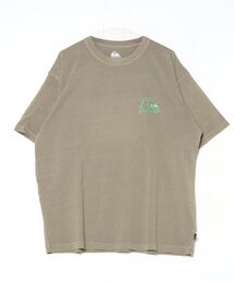 クイックシルバー QUIKSILVER FRUITS ISLAND ST