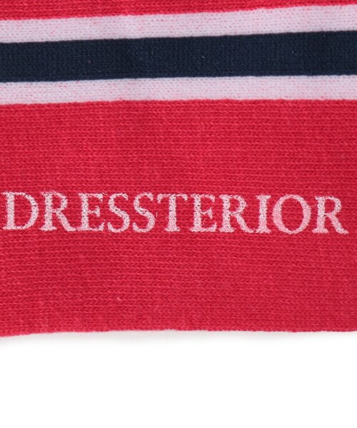 DRESSTERIOR（ドレステリア）の「D刺繍 ラインソックス（ソックス/靴下・メンズ・ホワイト/ネイビー/ブラック/レッド系1・00）」の6枚目の写真