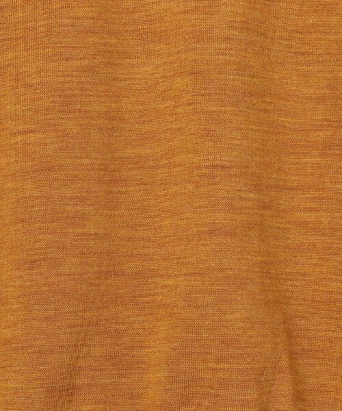 TOMORROWLAND （トゥモローランド）の「TOMORROWLAND tricot スーパーファインメリノウール モックネックプルオーバー S-WOOL（ニット/セーター・メンズ・グレイッシュベージュ/グリーン/イエロー/ネイビー/ブラック/ホワイト/チャコールグレー/ライトブルー・XL/L/M/S/XS）」の18枚目の写真