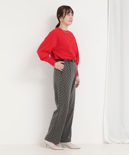 MICO COULIER（ミコクリエ）の「裏起毛TRフロッキードットパンツ（その他パンツ・レディース・ブラウン/チャコールグレー・36/38）」の15枚目の写真