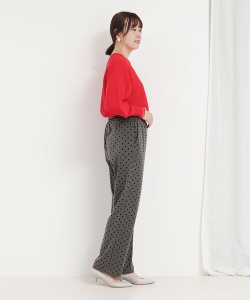 MICO COULIER（ミコクリエ）の「裏起毛TRフロッキードットパンツ（その他パンツ・レディース・ブラウン/チャコールグレー・36/38）」の17枚目の写真