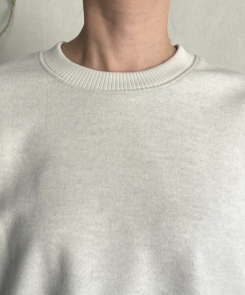 un dix cors（アンディコール）の「起毛ボンディングプルオーバー（Tシャツ/カットソー・レディース・ブラウン/ブラック/グレー・FREE）」の18枚目の写真