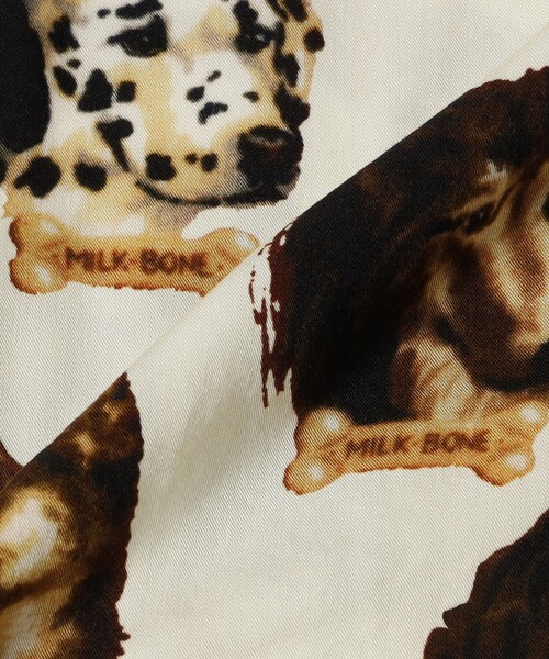 Ray BEAMS(レイビームス)の「【別注】PENNEY'S / シャツ(シャツ/ブラウス・レディース・ホワイト/オフホワイト・ONE SIZE)」の10枚目の写真