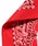 JACKSON MATISSE�i�W���N�\���}�e�B�X�j�́uPARK/�p�[�N Havahank Paisley Bandana �o���_�i�i�o���_�i/�X�J�[�t�j�v�b�ڍ׉摜