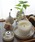 HIGHTIDEinC^Chj́uMarbled Melamine Tray }[u ~ X^bLOgC g[ ~j (S)i[ObYjvbAC{[