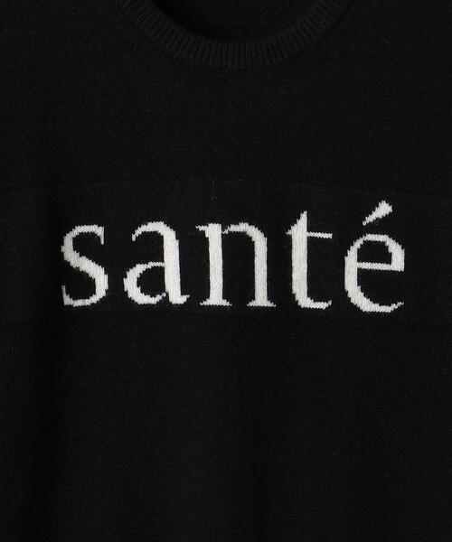 SLOANE(スローン)の「【別注】<SLOANE>CA LOGO ニット(ニット/セーター・レディース・ブラック/グレー・2)」の19枚目の写真