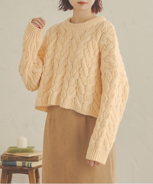 Ambre Neige（アンブルネージュ）の「クロップドケーブルニット／【WEB/EC限定商品】（ニット/セーター・レディース・ダークブラウン/ライトベージュ/モカ/アイボリー・FREE）」の5枚目の写真