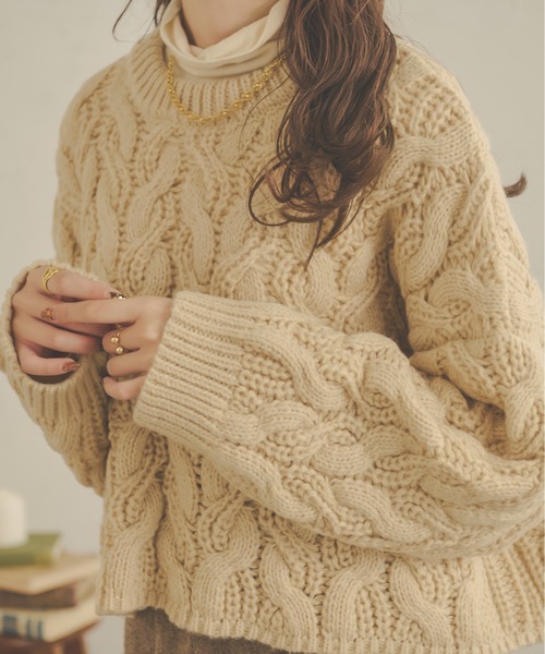 Ambre Neige（アンブルネージュ）の「クロップドケーブルニット／【WEB/EC限定商品】（ニット/セーター・レディース・ダークブラウン/ライトベージュ/モカ/アイボリー・FREE）」の20枚目の写真