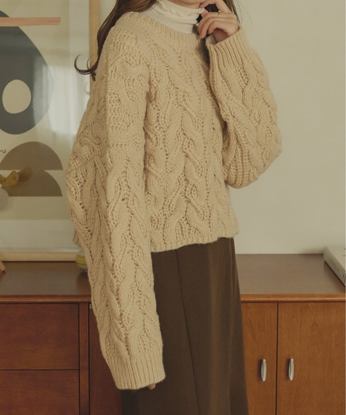 Ambre Neige（アンブルネージュ）の「クロップドケーブルニット／【WEB/EC限定商品】（ニット/セーター・レディース・ダークブラウン/ライトベージュ/モカ/アイボリー・FREE）」の15枚目の写真