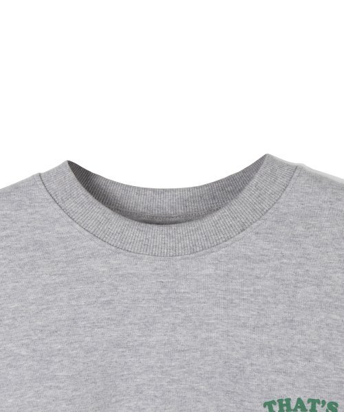 THAT'S IT（ザッツイット）の「89s アーチスウェットシャツ_グレー（スウェット・レディース・グレー・LARGE/MEDIUM）」の3枚目の写真