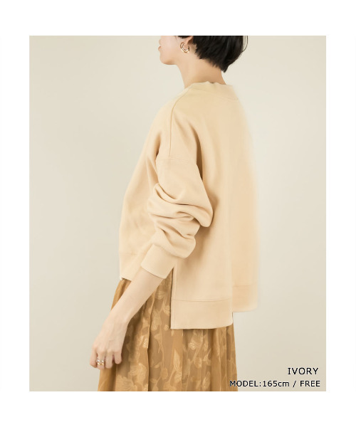 RANDA(ランダ)の「裏起毛プルオーバー(Tシャツ/カットソー・レディース・ベージュ/ブルー/アイボリー/グレイッシュベージュ・FREE)」の1枚目の写真
