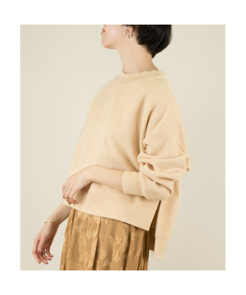 RANDA(ランダ)の「裏起毛プルオーバー(Tシャツ/カットソー・レディース・ベージュ/ブルー/アイボリー/グレイッシュベージュ・FREE)」の5枚目の写真