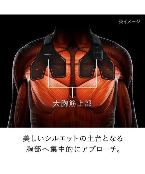 SIXPAD Chest Fit チェストフィット