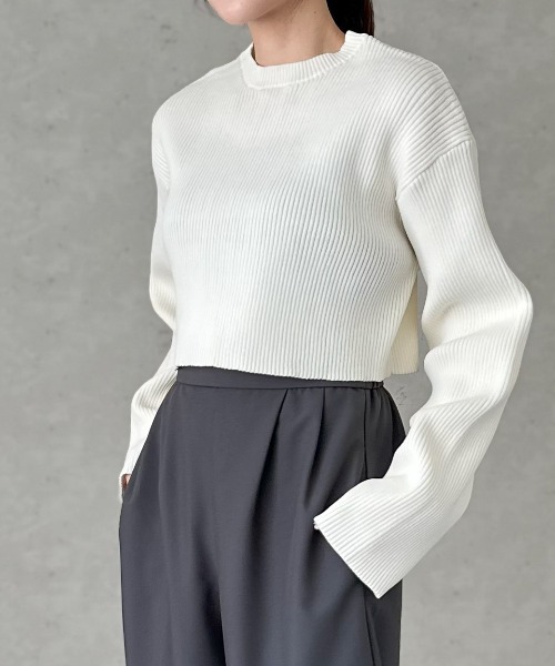 Per sist ence(パーシエンス)の「クロップドリブニットプルオーバー(Tシャツ/カットソー・レディース・オフホワイト/グリーン/ブラック/ブルー/チャコールグレー・FREE)」の2枚目の写真