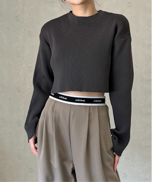 Per sist ence(パーシエンス)の「クロップドリブニットプルオーバー(Tシャツ/カットソー・レディース・オフホワイト/グリーン/ブラック/ブルー/チャコールグレー・FREE)」の3枚目の写真