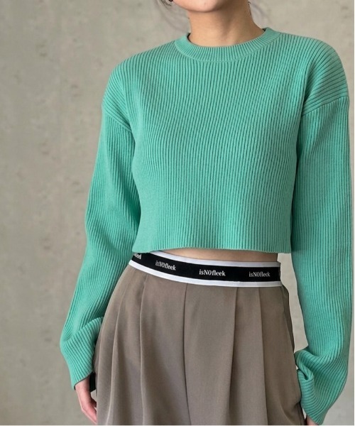 Per sist ence(パーシエンス)の「クロップドリブニットプルオーバー(Tシャツ/カットソー・レディース・オフホワイト/グリーン/ブラック/ブルー/チャコールグレー・FREE)」の4枚目の写真