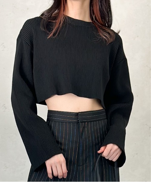 Per sist ence(パーシエンス)の「クロップドリブニットプルオーバー(Tシャツ/カットソー・レディース・オフホワイト/グリーン/ブラック/ブルー/チャコールグレー・FREE)」の1枚目の写真