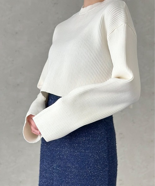 Per sist ence(パーシエンス)の「クロップドリブニットプルオーバー(Tシャツ/カットソー・レディース・オフホワイト/グリーン/ブラック/ブルー/チャコールグレー・FREE)」の18枚目の写真