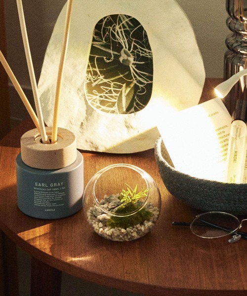 プリザーブドモス(S) / 104687（インテリア雑貨）｜LAKOLE（ラコレ）の