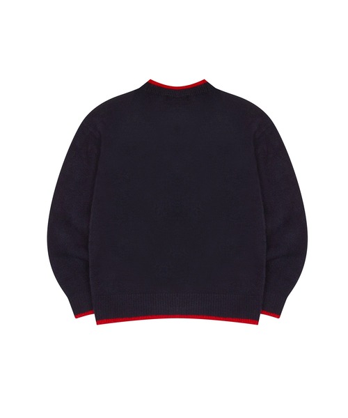 LUVISTRUE(ラヴイズトゥルー)の「PA 82 KNIT(ニット/セーター・レディース・ネイビー/スカイブルー・FREE)」の7枚目の写真