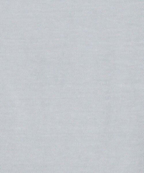 JAMES PERSE(ジェームスパース)の「ベーシック クルーネックTシャツ WLJ3114(Tシャツ/カットソー・レディース・ライトベージュ/ライトブルー・0/4/2/1/3)」の12枚目の写真