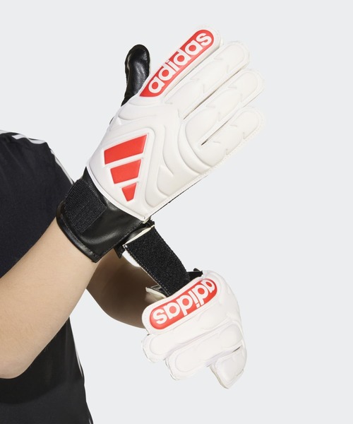 adidas（アディダス）の「コパ クラブ ゴールキーパーグローブ / アディダス adidas（スポーツグッズ・メンズ・ホワイト・5）」の4枚目の写真