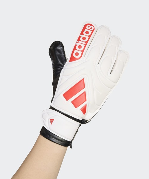 adidas（アディダス）の「コパ クラブ ゴールキーパーグローブ / アディダス adidas（スポーツグッズ・メンズ・ホワイト・5）」の7枚目の写真