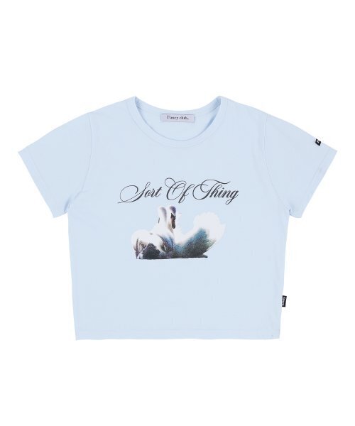 FANCY CLUB（ファンシークラブ）の「[NF] シグナススタンダードTシャツ (ライトブルー)_F23QB493（Tシャツ/カットソー・レディース・その他・ONE）」の5枚目の写真
