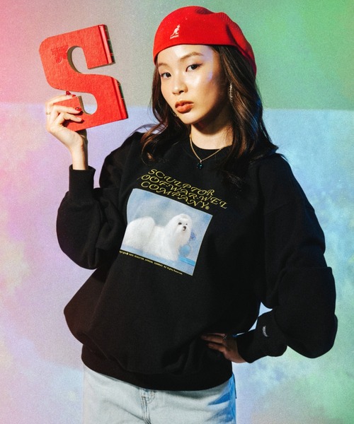 大人気EVILWIRE スカルデザイン トレーナー Amazon.co.jp: [エルアールジー] パーカー フルジップ スカル
