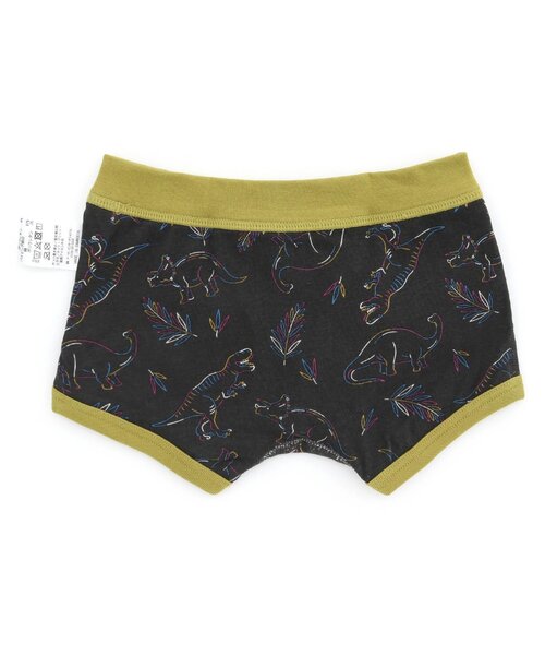 BOYS4色2柄ボクサーパンツ(恐竜・自転車)（ボクサーパンツ）｜BREEZE