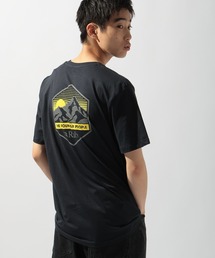 RAB（ラブ）の「【RAB(ラブ)】Stance Mountain Peak Tee（Tシャツ/カットソー）」