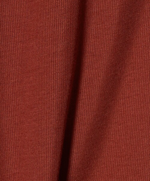 CITEN(シテン)の「<CITEN>エッセンシャルシアトップ(Tシャツ/カットソー・レディース・ホワイト/ブラック/ダークブラウン/レッド・FREE)」の21枚目の写真