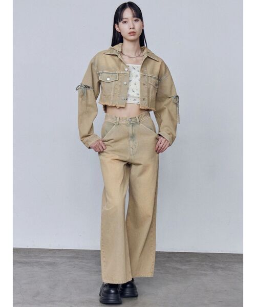 EMODA(エモダ)の「シアーベロアプレートクロップトップ(Tシャツ/カットソー・レディース・ピンク/グレー/アイボリー/ブラック・FREE)」の14枚目の写真