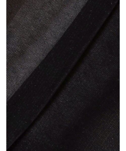 EMODA（エモダ）の「シアーベロアプレートクロップトップ（Tシャツ/カットソー・レディース・ピンク/グレー/アイボリー/ブラック・FREE）」の10枚目の写真