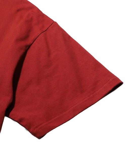SILAS(サイラス)の「CAPRA S/S TEE(Tシャツ/カットソー・メンズ・アッシュ/ホワイト/バーガンディー/グリーン・M/L/XL)」の8枚目の写真