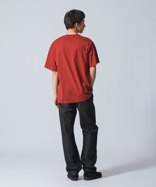 SILAS(サイラス)の「CAPRA S/S TEE(Tシャツ/カットソー・メンズ・アッシュ/ホワイト/バーガンディー/グリーン・M/L/XL)」の21枚目の写真