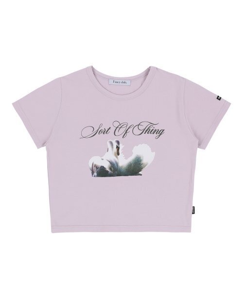 FANCY CLUB（ファンシークラブ）の「[NF] シグナススタンダードTシャツ (ライトピンク)_F23QB493（Tシャツ/カットソー・レディース・その他・ONE）」の5枚目の写真