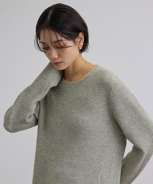 SALON adam et rope'(サロン アダム エ ロペ)の「ウール片畦シャイニークルーネックプルオーバー(ニット/セーター・レディース・ベージュ/グレー・FREE)」の12枚目の写真