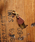 BrownBrowniuEuEj́uyBrownBrownzuEuE/V[z[iL[P[X/L[ANZT[jvb_[NuE
