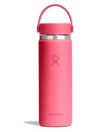 HYDRO FLASK(�n�C�h���t���X�N)��HydroFlask/�n�C�h���t���X�N 20oz Wide Mouth �X�e�����X�{�g��/���� 2026�N�t�ā@�ē���(�O���X/�}�O�J�b�v/�^���u���[)