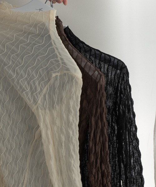 Amiur（エミレ）の「nuance sheer high neck（その他トップス・レディース・ブラック/ブラウン/アイボリー・FREE）」の16枚目の写真